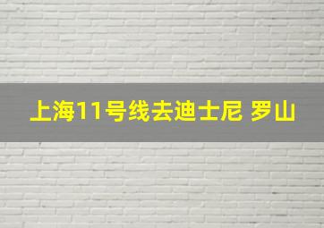 上海11号线去迪士尼 罗山